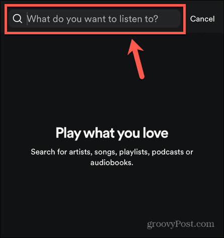 поле поиска Spotify