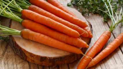 Как вырастить морковь в горшках в домашних условиях? Методы выращивания моркови в горшках