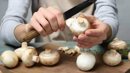 Как чистить грибы? Как не допустить потемнения грибов, какие советы