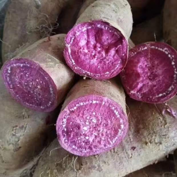 Преимущества сладкого картофеля (выращивается в Китае)