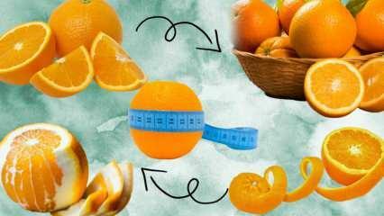 Сколько калорий в апельсине? Сколько граммов составляет 1 средний апельсин? Помогает ли употребление апельсина набирать вес?