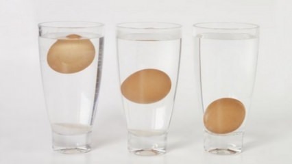 Как понять несвежие яйца?