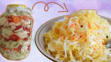 Рецепт хрустящей квашеной капусты! Как приготовить самую простую квашеную капусту?