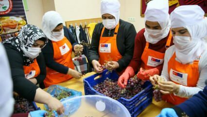 Сирийские женщины учатся превращать виноград в патоку в Измире