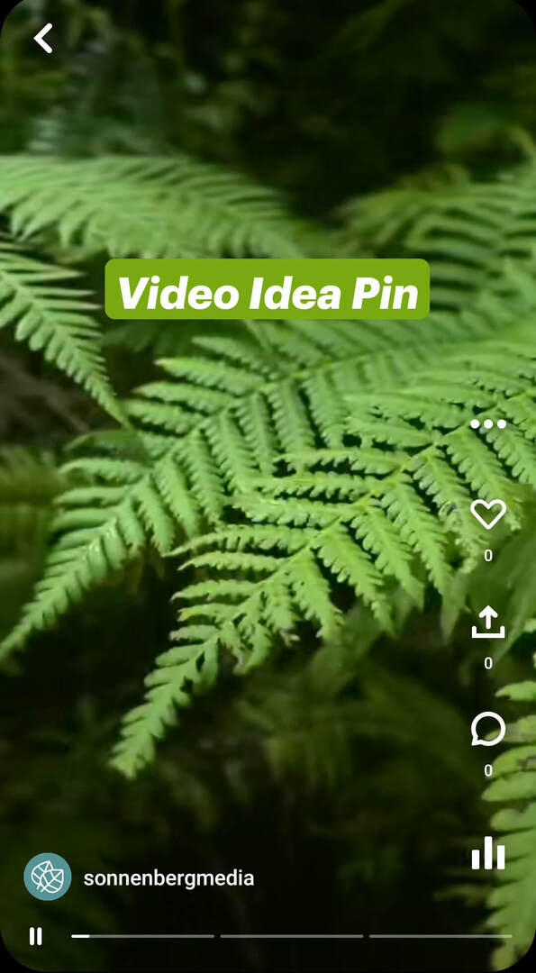 что такое pinterest-idea-pins-sonnenbergmedia-video-pin-example-1