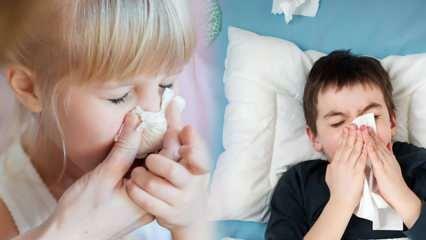 Рост заболеваемости гриппом у детей напуган! Критическое предупреждение поступило от экспертов