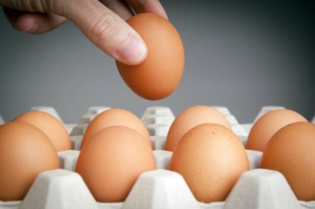 Методы хранения яиц