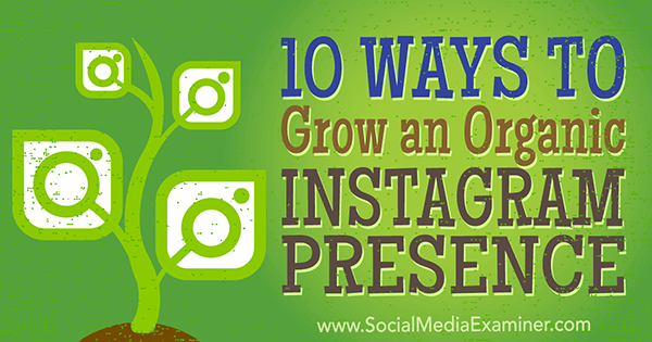 советы по органическому маркетингу для увеличения подписчиков в instagram