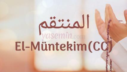 Что означает Аль-Мунтаким (cc)? Каковы достоинства Аль-Мунтакима (c.c)?