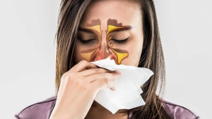 Что такое аллергия? Каковы симптомы аллергического ринита? Сколько видов аллергий существует? 