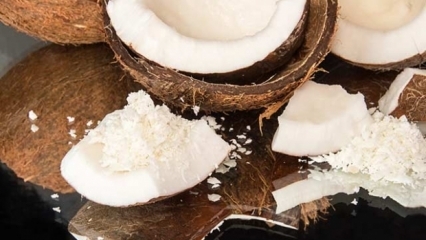 Как правильно разрезать кокос?