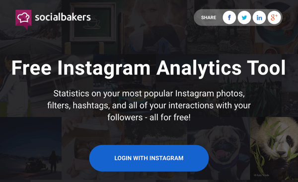 Войдите в Instagram, чтобы получить доступ к бесплатному отчету Socialbakers.
