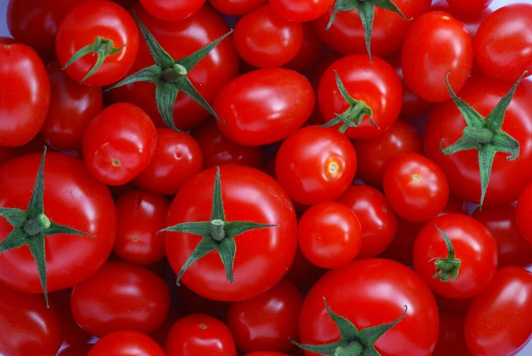 Как выбрать помидоры менеменлик