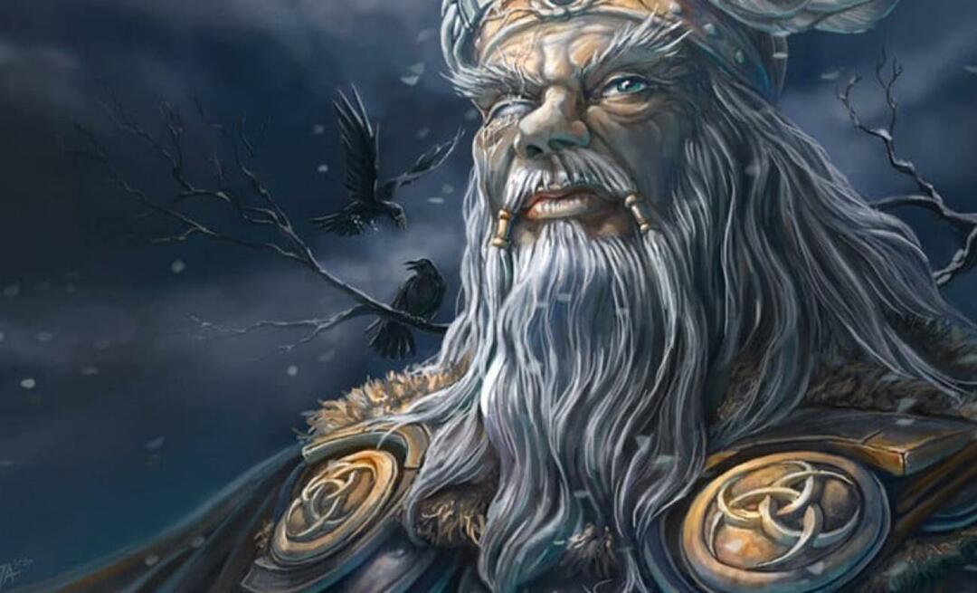 Бог викингов Один на самом деле турецкий? Отец шведской истории рассказал факты один за другим