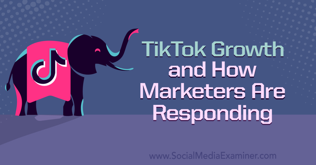 Рост TikTok и реакция маркетологов: специалист по социальным сетям