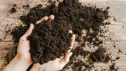 Как должна быть почва? Что такое торфяной мох?