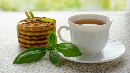 Каковы преимущества базилика? Как приготовить базиликовый чай?