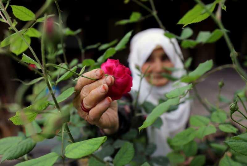 83-летняя бабушка Айше, победившая Kovid-19, делает джемы с ароматом розы!
