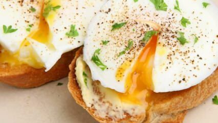 Что такое яйцо пашот и как его делают? Советы по приготовлению яиц-пашот