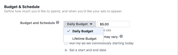 выбор пожизненного бюджета на уровне набора объявлений для кампании Facebook в день продажи Flash