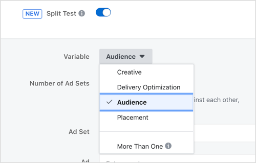 Выберите переменную для тестирования с помощью функции сплит-тестирования Facebook.