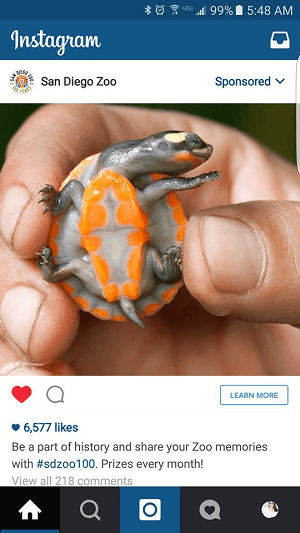 зоопарк instagram реклама