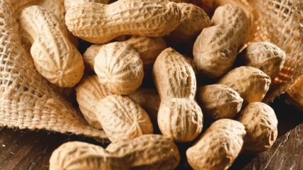 Каковы преимущества арахиса? Какие заболевания полезны для арахиса?