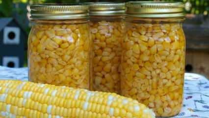 Как хранится кукуруза? Самые простые способы хранения кукурузы! Подготовка озимой кукурузы