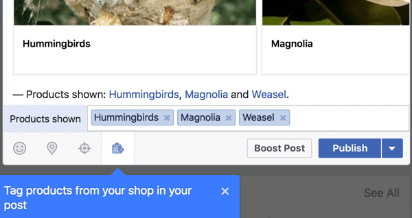 Включите ссылки на продукты из вашего магазина Facebook.
