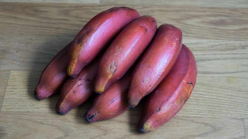 красные бананы становятся фиолетовыми по мере созревания