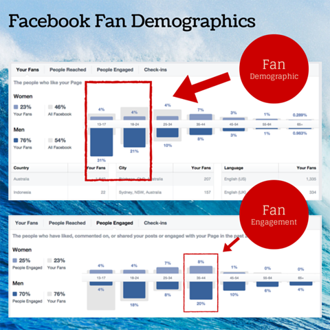 демографическая диаграмма фанатов facebook