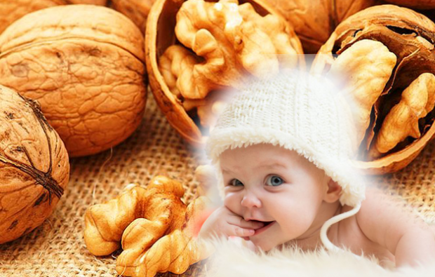 грецкие орехи приносят пользу детям