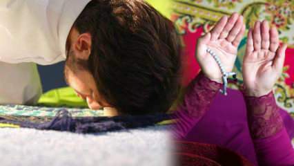 Достоинства молитвы таравих и выполнения молитвы таравих в домашних условиях! Решение о религиозной молитве таравих от Diyanet