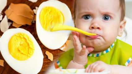 Как яичные желтки следует давать детям? Сколько месяцев, чтобы начать яйцо? Рецепт детского яйца