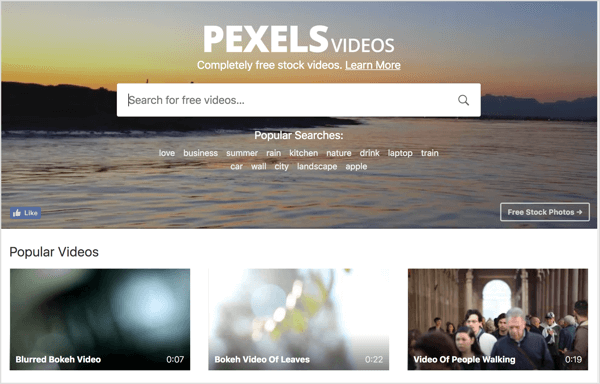 Pexels предлагает бесплатное стоковое видео, которое вы можете использовать в своей видеорекламе в LinkedIn.