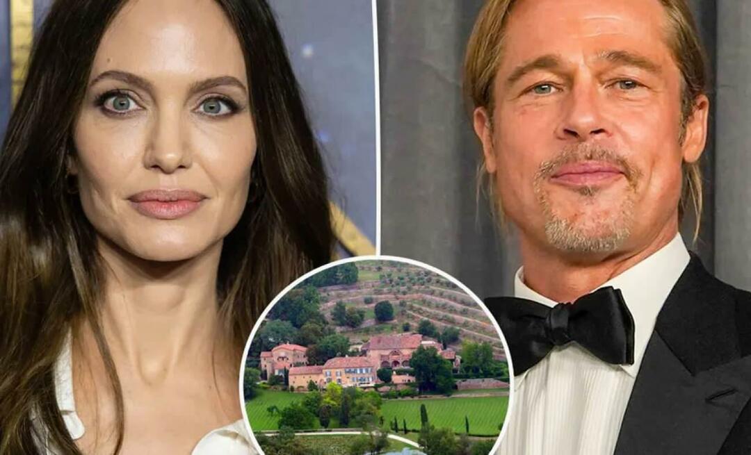 Брэд Питт раскрыл послания Джоли по делу о замке Мираваль, которое превратилось в змеиную историю!