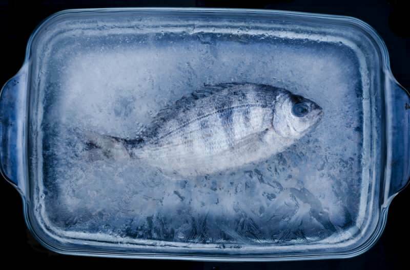 Сколько дней нужно употреблять рыбу в морозильной камере?