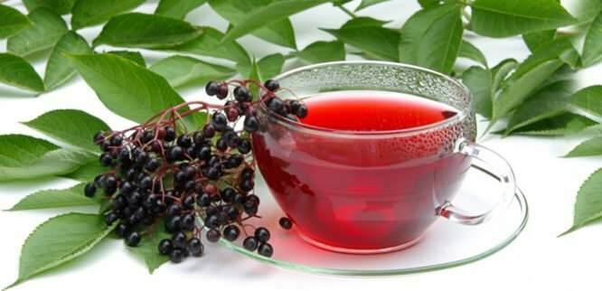 чай из бузины дает невероятные преимущества для иммунной системы