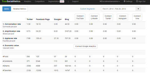 обзор отчета truesocialmetrics