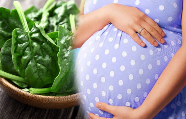 потребление фолиевой кислоты при беременности