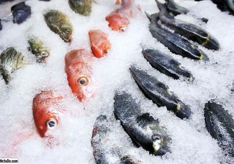 Как хранить рыбу в морозильной камере