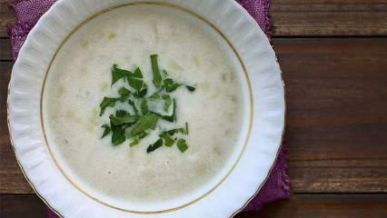 Как приготовить суп из лука-порея? Советы по приготовлению самого простого супа из лука-порея