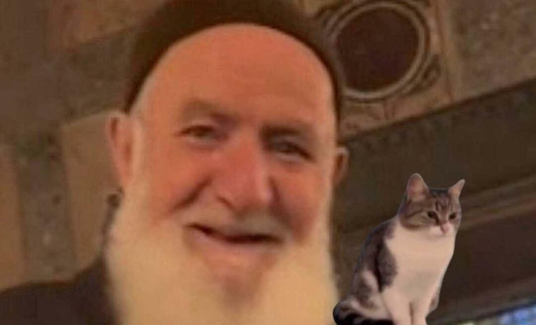 Любящий кошек дедушка впервые выступил в соборе Святой Софии! Ахмет Деде снова заставил меня улыбнуться
