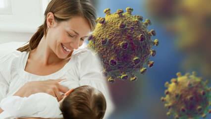 Передается ли коронавирус от молока к ребенку? Вниманию будущих мам в период пандемии! 