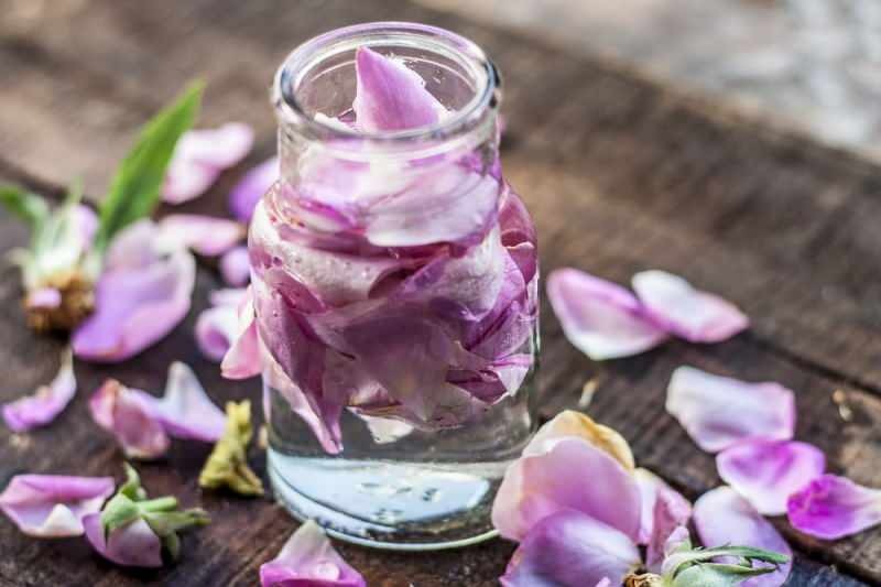 Как сделать розовую воду в домашних условиях? Простой способ приготовления розовой воды ...