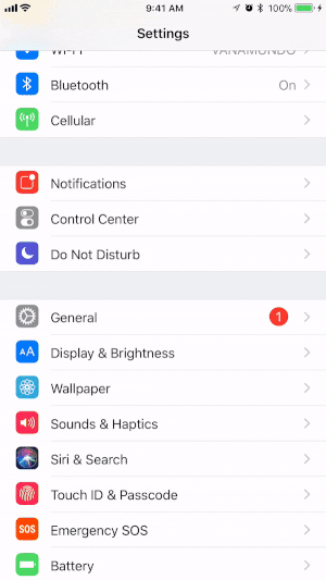 Добавьте функцию записи экрана в Центр управления вашего устройства iOS.