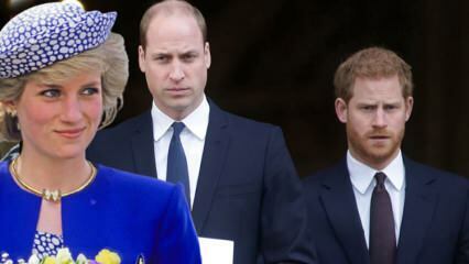 Винить принцев в BBC... Принц Уильям: Это интервью разрушило нашу семью!