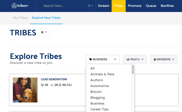Перейдите на вкладку «Племена», чтобы найти племена, к которым можно присоединиться на Триберре.