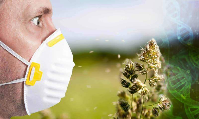 аллергия на пыльцу увеличилась