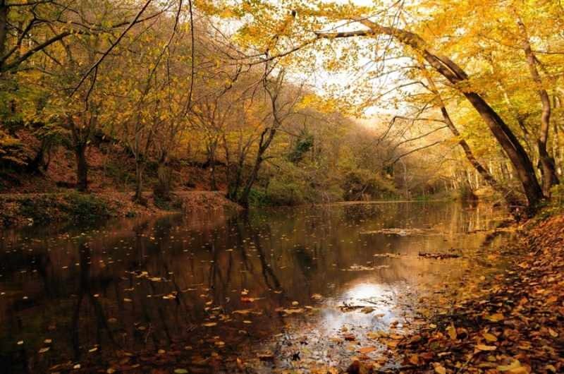Осенний поход в белградский лес